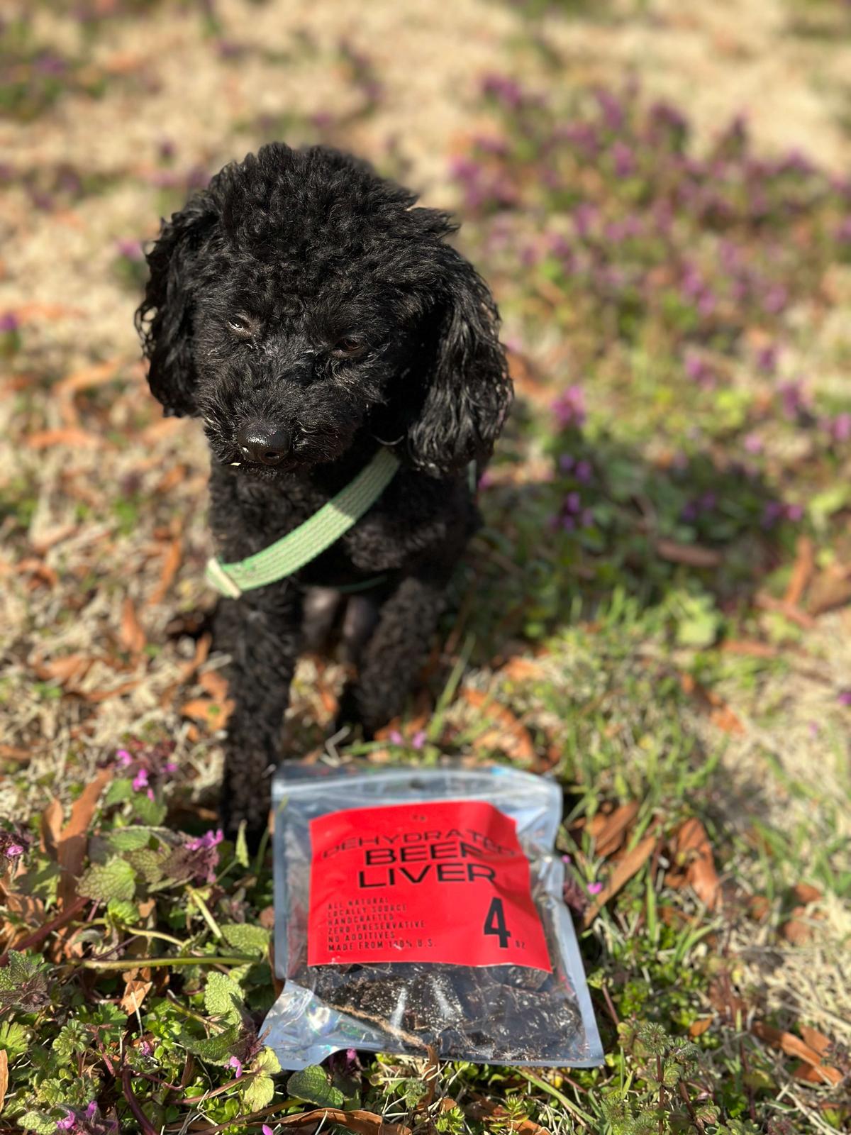 homemade dog treats