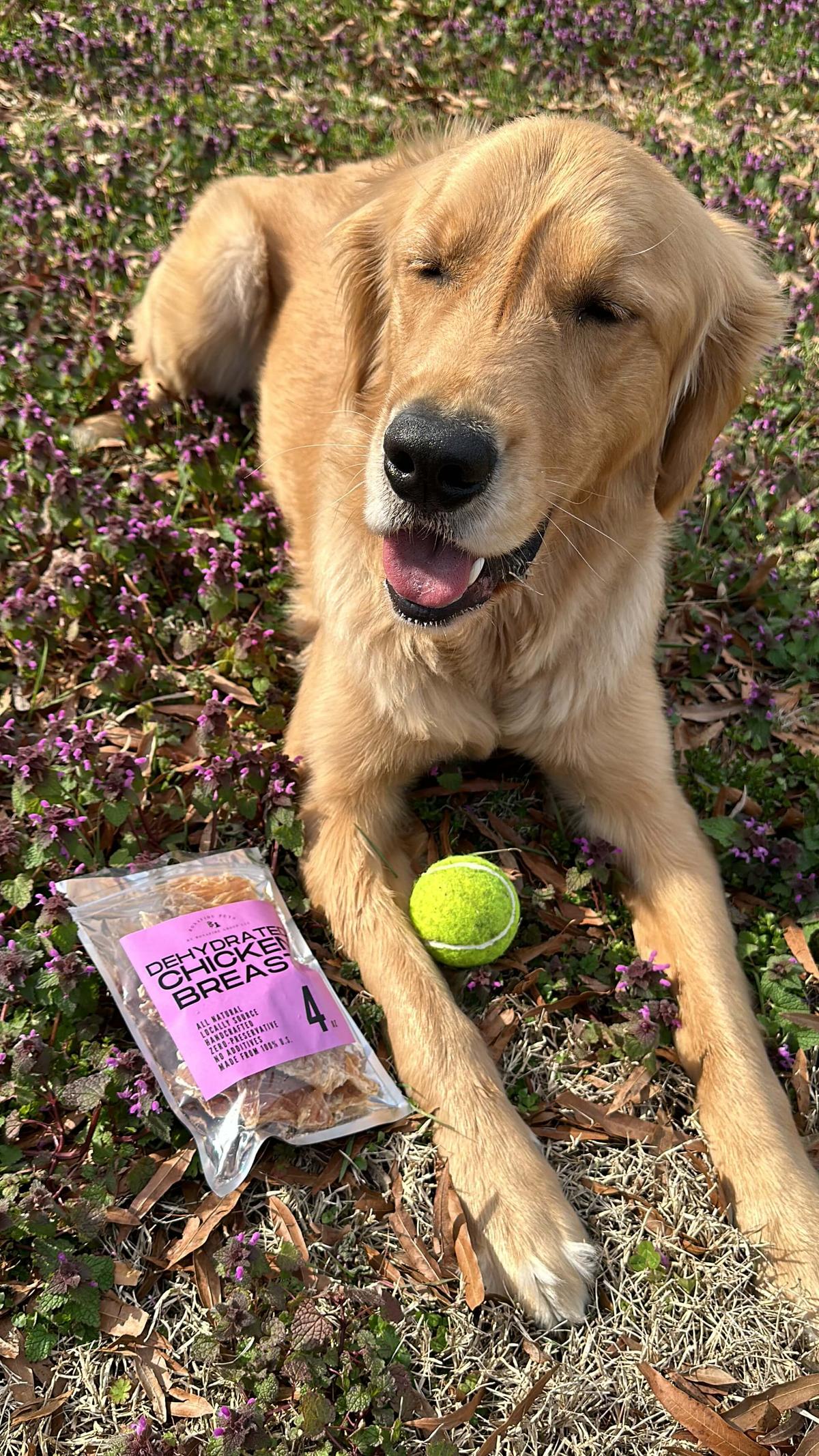 homemade dog treats