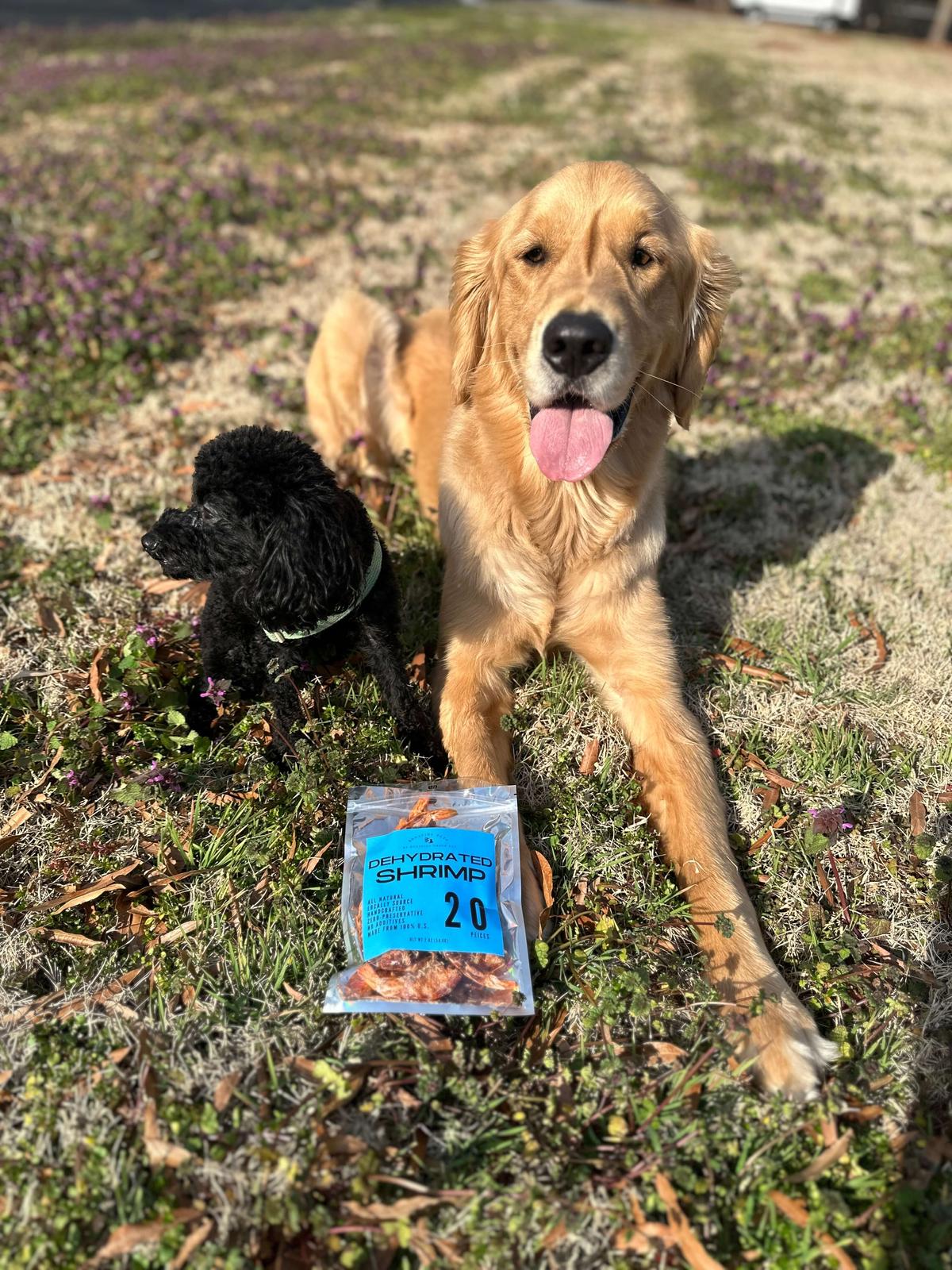 homemade dog treats