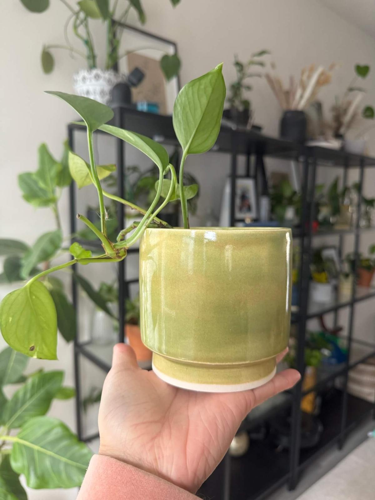 Hand-crafted pottery by Kathie Ceramics