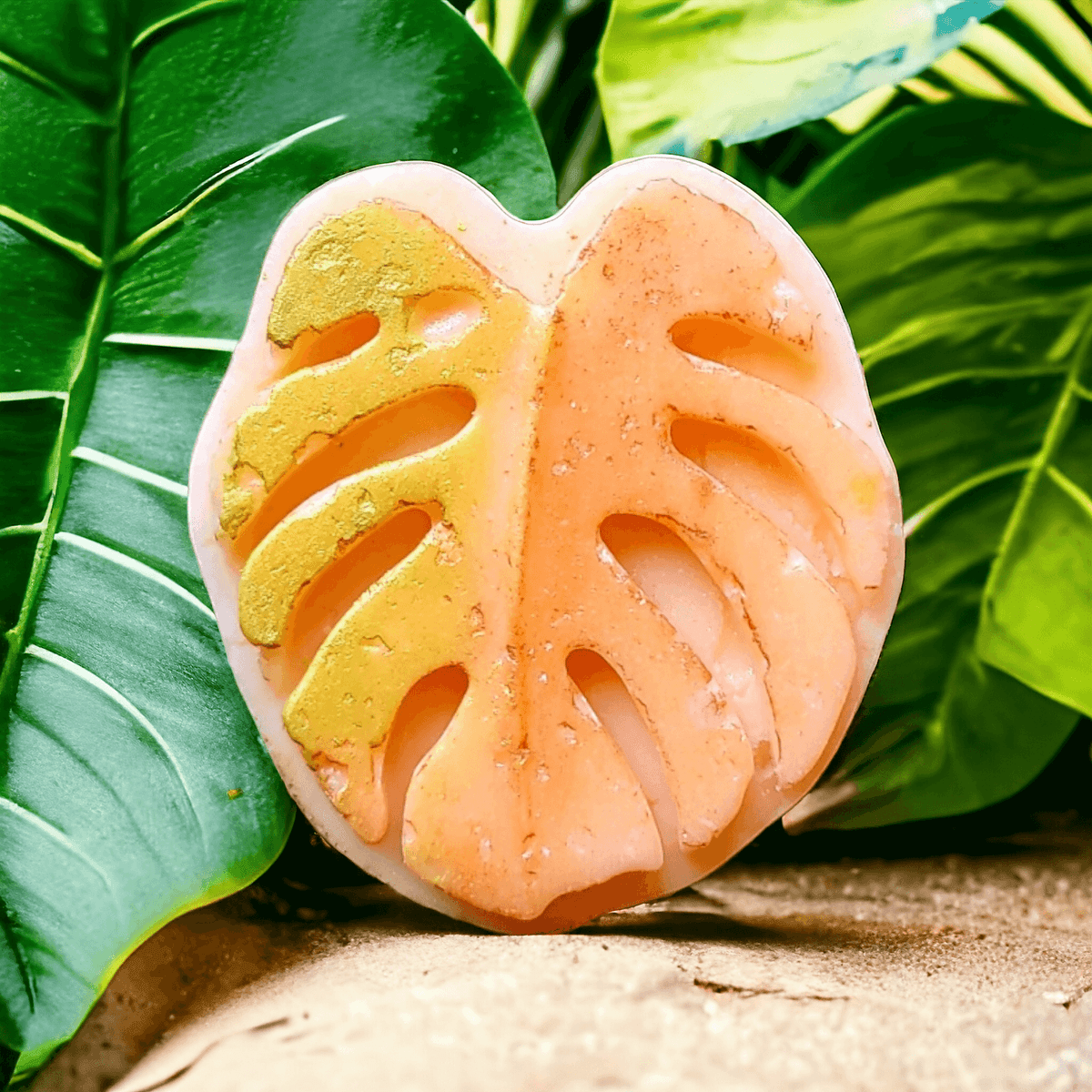 bath and body products by sugarcane beauty